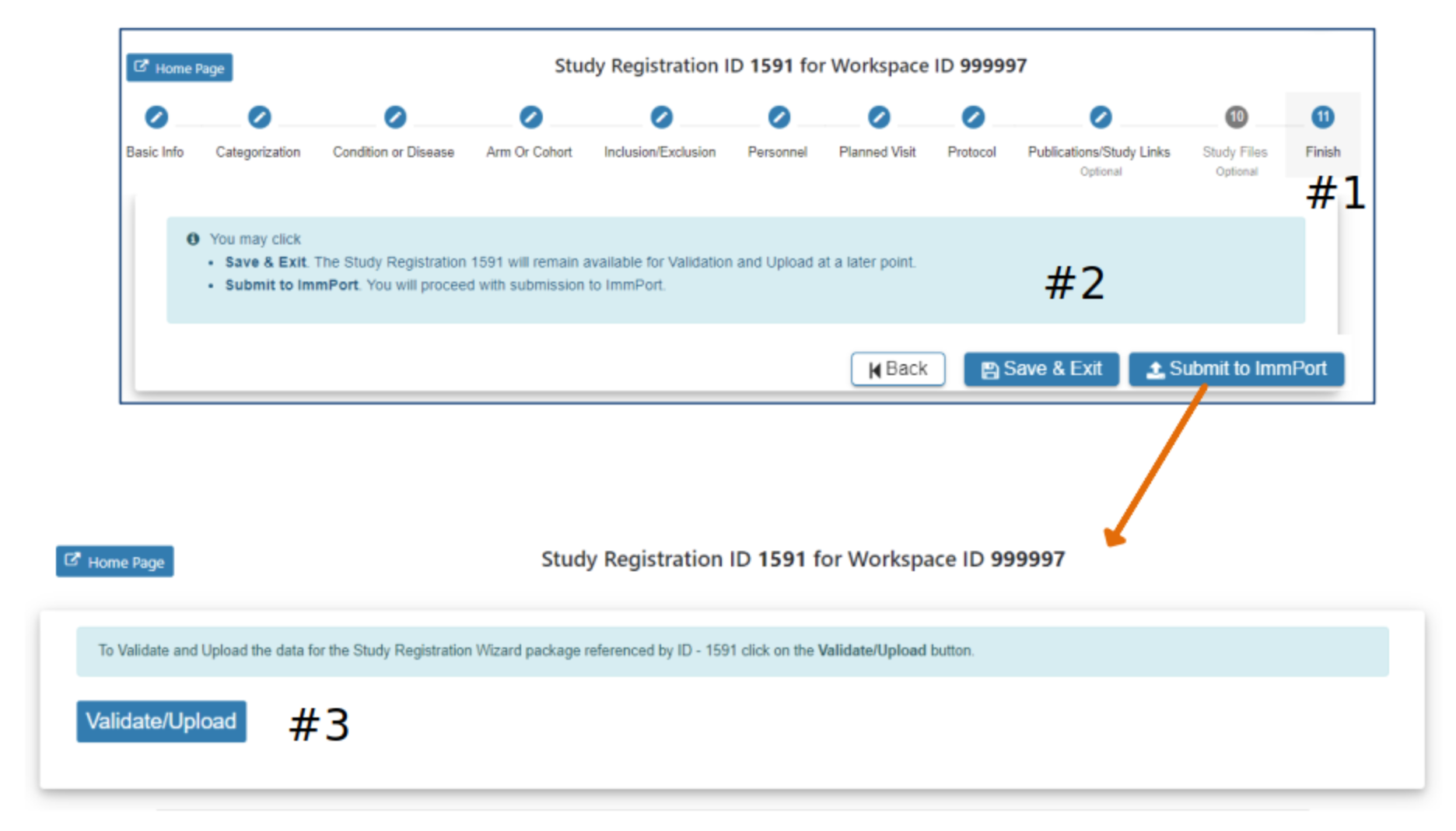 1. Displays the Validate and Upload page.
        2. Options to Save & Exit or Submit to ImmPort.
        3. Pop-up from 'Submit to ImmPort' needs validation.